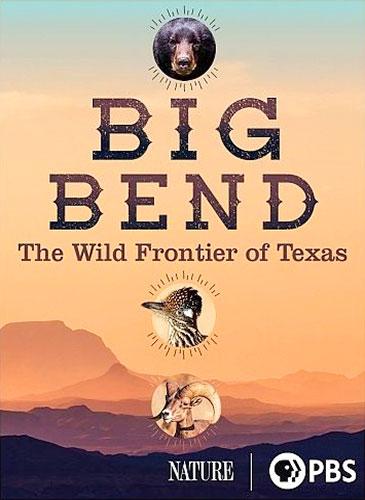   .     / Big Bend - America's Wildest Frontier (2020) DVB | P1