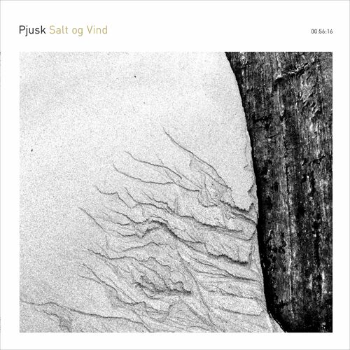 VA - Pjusk - Salt Og Vind (2022) (MP3)