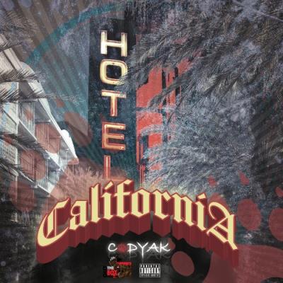 VA - Codyak - Hotel California (2022) (MP3)