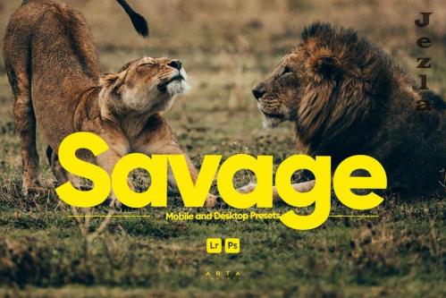 ARTA - Savage Presets for Lightroom