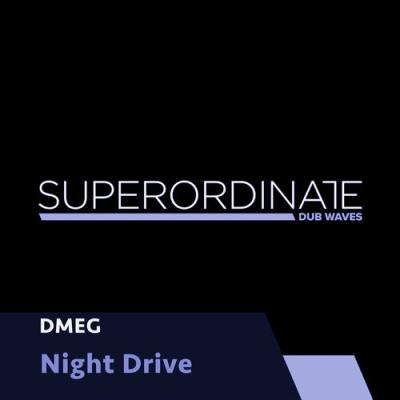 VA - Dmeg - Night Drive (2022) (MP3)