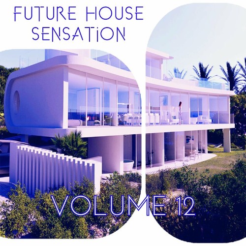 VA - Future House Sensation, Vol.12 (BEST SELECTION OF CLUBBING HOUSE TRACKS) (2022) (MP3)
