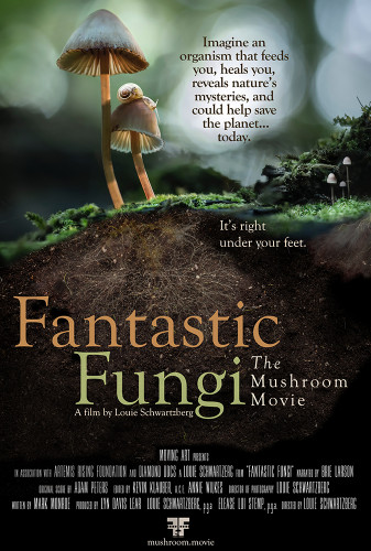   / Fantastic Fungi (2019) BDRip 1080p