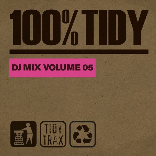 VA - 100% Tidy, Vol. 5 (2022) (MP3)