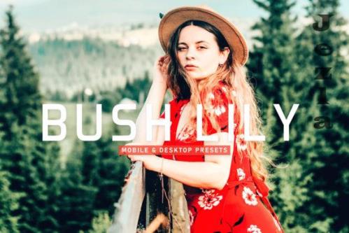Bush Lily Mobile & Desktop Lightroom Presets - 1803505