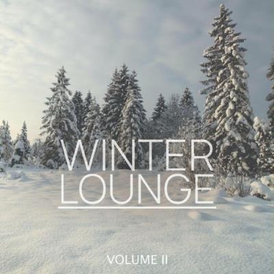 VA - Winter Lounge, Vol. 2 (2022) (MP3)