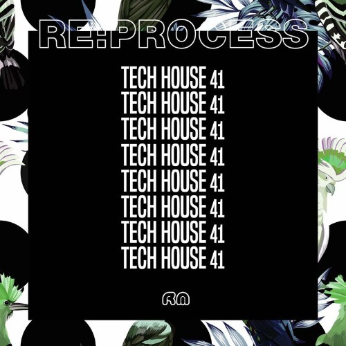 VA - Re:Process - Tech House Vol. 41 (2022) (MP3)