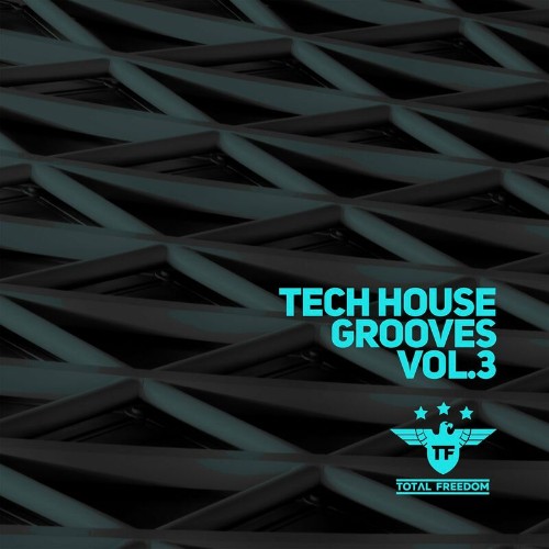 VA - Tech House Grooves Vol. 3 (2022) (MP3)
