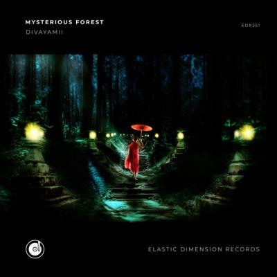 VA - Divayamii - Mysterious Forest (2022) (MP3)