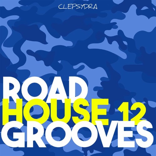 VA - Roadhouse Grooves 12 (2022) (MP3)