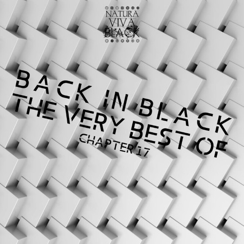 VA - Back in Black! (The Very Best Of) Chapter 17 (2022) (MP3)
