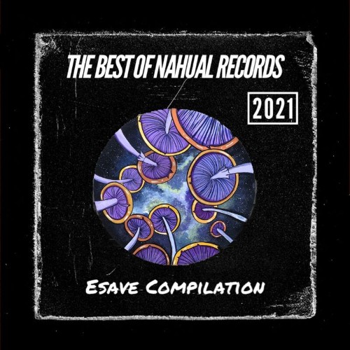 VA - The Best of Nahual Records 2021 (2022) (MP3)