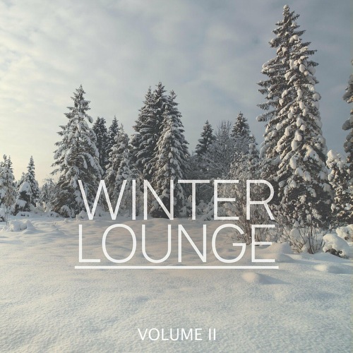 VA - Winter Lounge, Vol. 2 (2022)