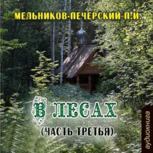 Мельников-Печерский Павел - В лесах (часть третья) (Аудиокнига)