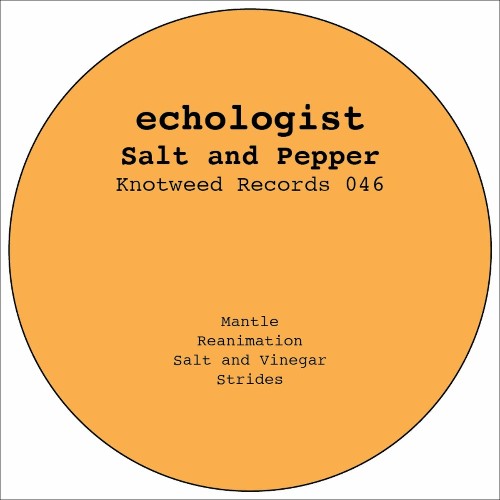 VA - Echologist - Salt And Pepper (2022) (MP3)