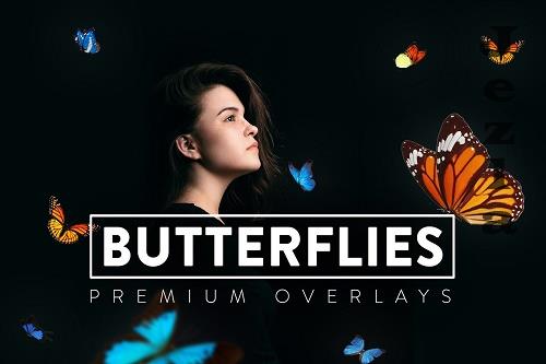 30 Real Butterflies Overlay - 6419316