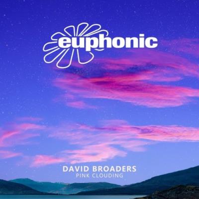 VA - David Broaders - Pink Clouding (2022) (MP3)