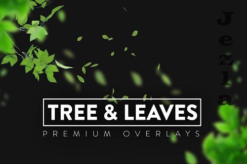 140 Tree and Leaves Overlays - 6399531