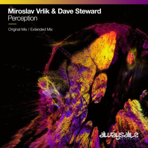 VA - Miroslav Vrlik & Dave Steward - Perception (2022) (MP3)