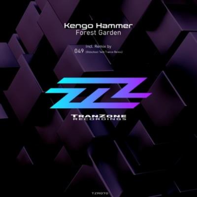 VA - Kengo Hammer - Forest Garden (2022) (MP3)