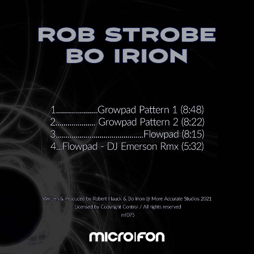 VA - Rob Strobe & Bo Irion - Flowpad (2022) (MP3)