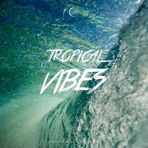 VA - LunaMoon - Tropical Vibes (2022) (MP3)