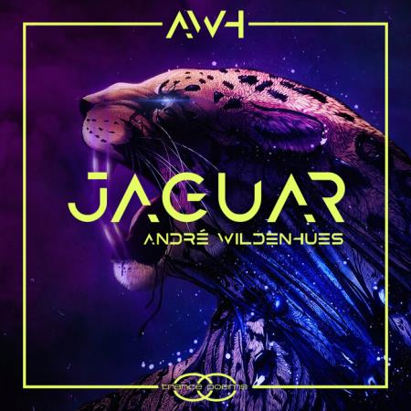 Andre Wildenhues - Jaguar (2022)