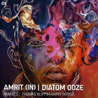 VA - Amrit - Diatom Ooze (2022) (MP3)