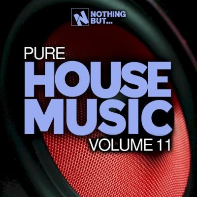 VA - Nothing But... Pure House Music, Vol. 11 (2022) (MP3)