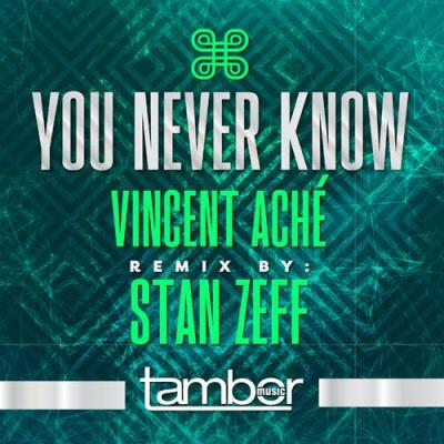 VA - Vincent Ache - You Never Know (2022) (MP3)