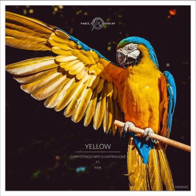 VA - DJ Mysterioo Arif & DJ Katrin Love - Yellow (2022) (MP3)