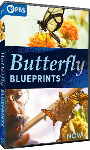 PBS - NOVA Series 48 Butterfly Blueprints (2022)