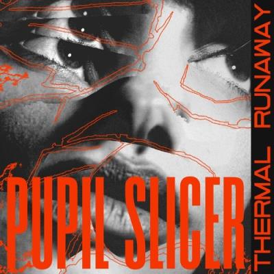 VA - Pupil Slicer - Thermal Runaway (2022) (MP3)