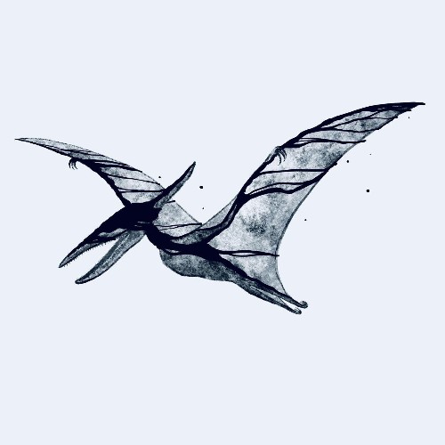 VA | ME REX - Pterodactyl (2022) MP3