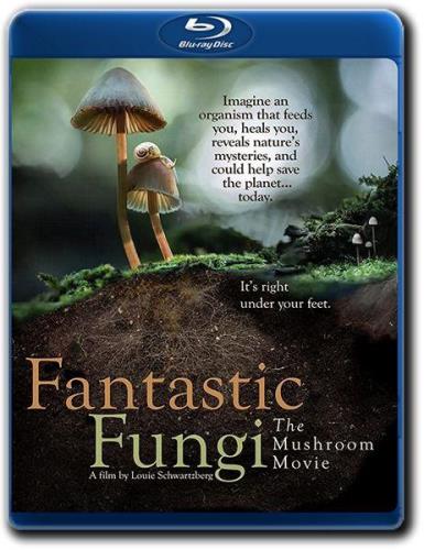 Фантастические грибы / Fantastic Fungi (2019) BDRip 720p