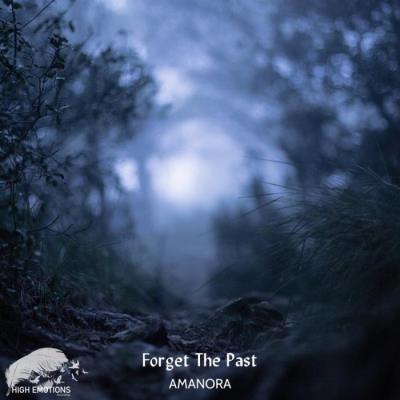 VA - AMANORA - Forget The Past (2022) (MP3)