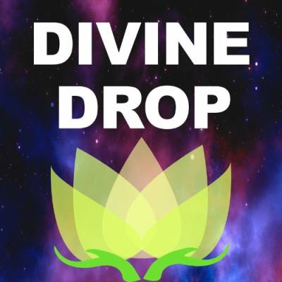 VA - Divine Drop - Fluctuation (2022) (MP3)