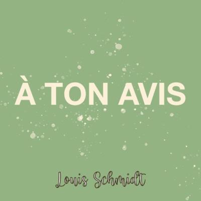 VA - Louis Schmidt - A Ton Avis (2022) (MP3)
