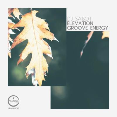 VA - Dj Saibot - Elevation (2022) (MP3)