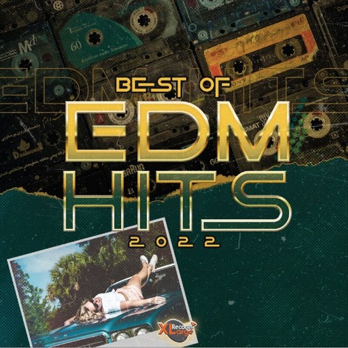 VA - Best of EDM Hits 2022 (2022) (MP3)