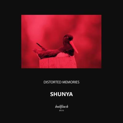 VA - Distorted Memories - Shunya (2022) (MP3)