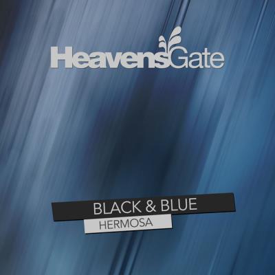 VA - Black & Blue - Hermosa (2022) (MP3)