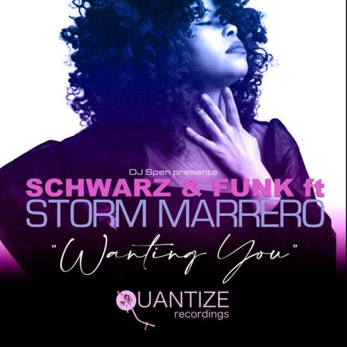 Schwarz & Funk & Storm Marrero - Wanting You (2022)