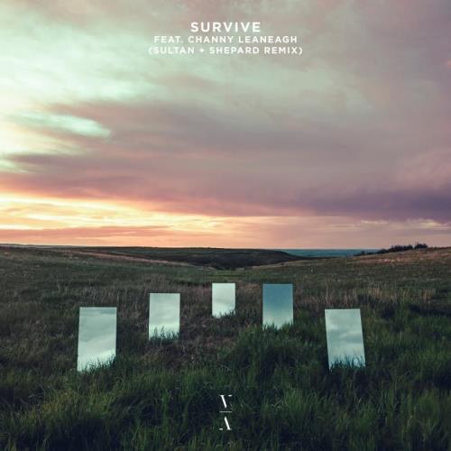 VA - Lane 8 ft Channy Leaneagh - Survive (Sultan + Shepard Remix) WEB (2022) (MP3)