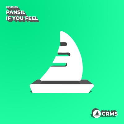 VA - Pansil - If You Feel (2022) (MP3)