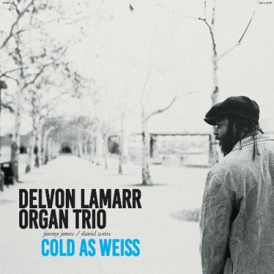 VA - Delvon Lamarr Organ Trio - Cold As Weiss (2022) (MP3)