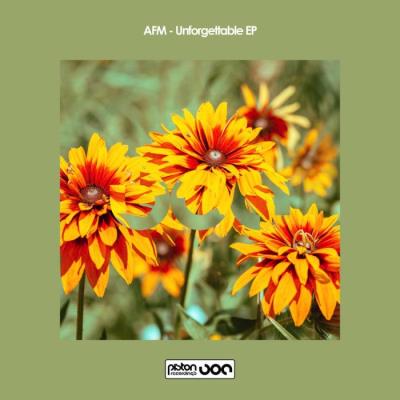 VA - Afm - Unforgettable EP (2022) (MP3)