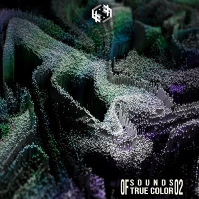 VA - Sounds Of True Color 2 (2022) (MP3)
