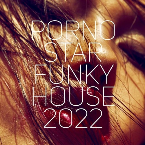 VA - Pornostar Funky House 2022 (2022) (MP3)