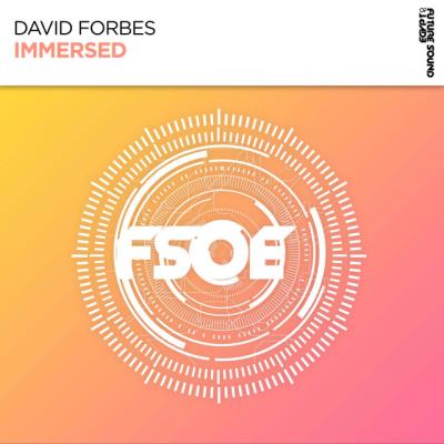 VA - David Forbes - Immersed (2022) (MP3)